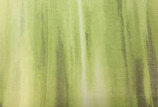 Fényáteresztő függöny - JAB 030 zöld