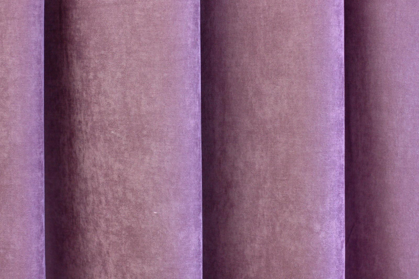 Lila - 18